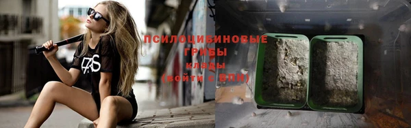 дживик Белокуриха