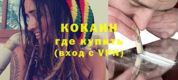 дживик Белокуриха